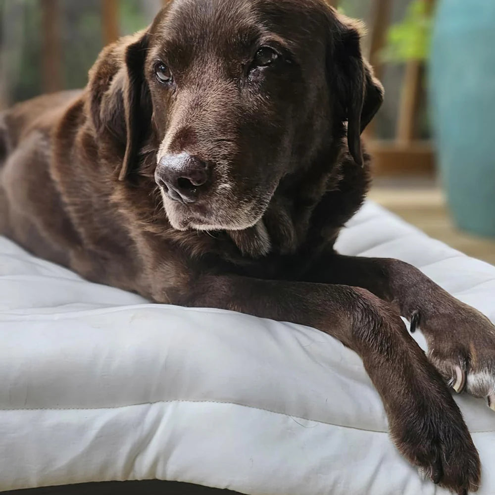 Cooling Mat for Dogs - Cooling Pad for Small & Large Pets, Use in Crate, Kennel, Bed, Sofa, Machine Washable