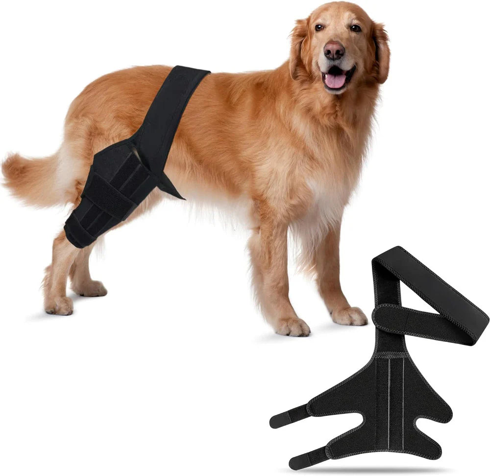 Best Dog Knee Brace for Torn ACL or Arthritis – Durable, Lightweight, and Adjustable ACL Support – Improve Mobility and Stability