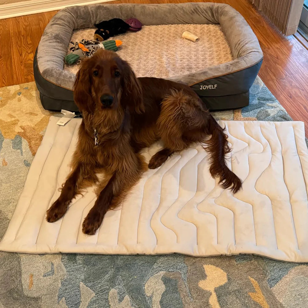 Cooling Mat for Dogs - Cooling Pad for Small & Large Pets, Use in Crate, Kennel, Bed, Sofa, Machine Washable